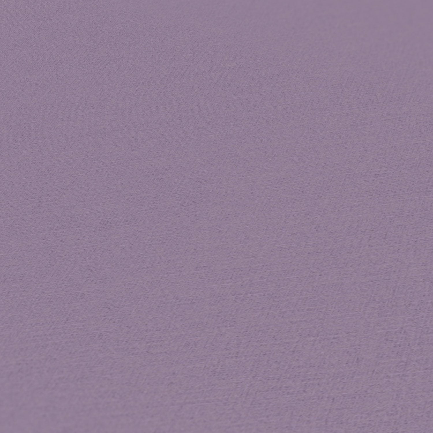 The Wall/Drawn into Nature 38903-9/Kaleidoscope KA86