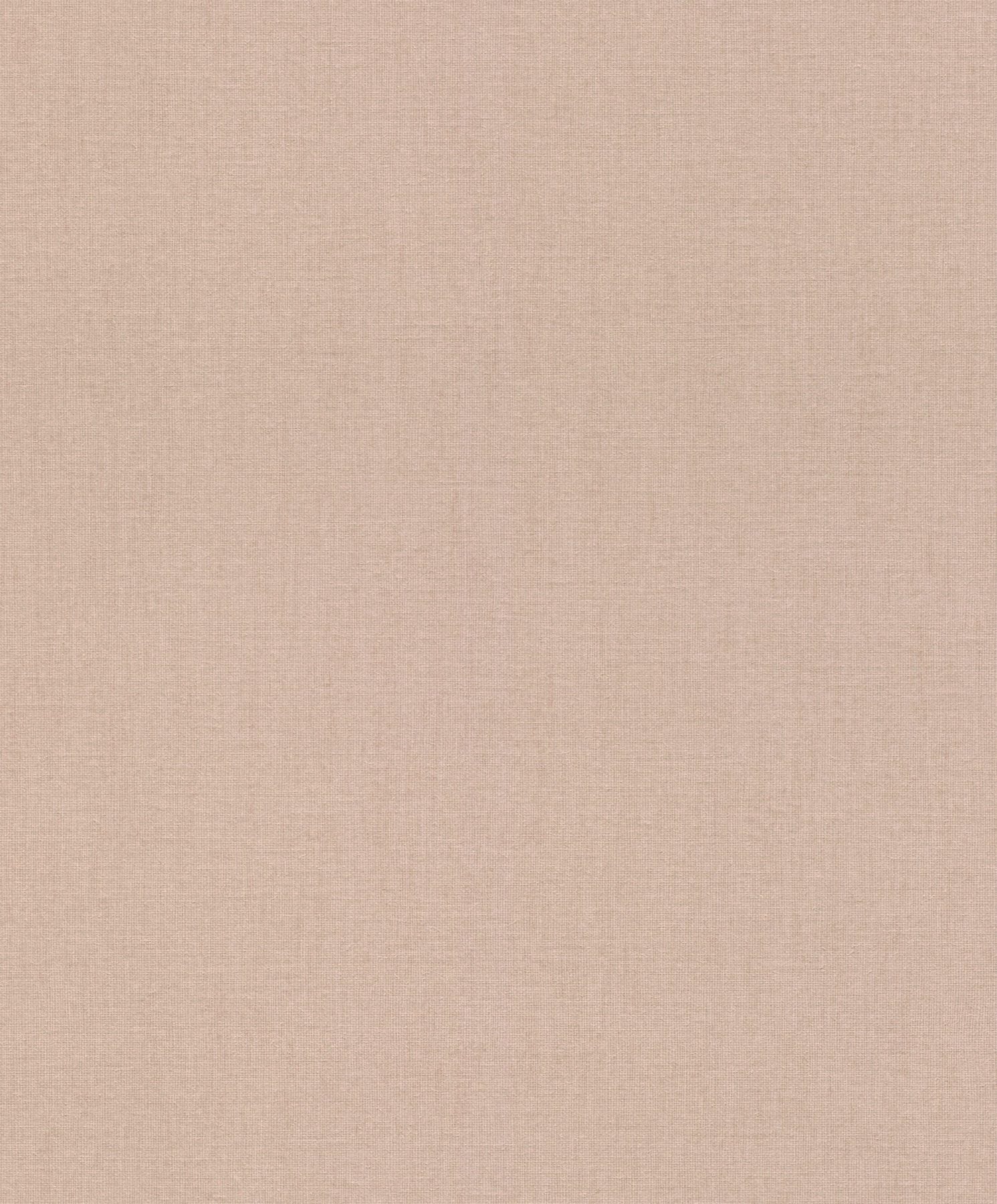 Florentine IV 484649