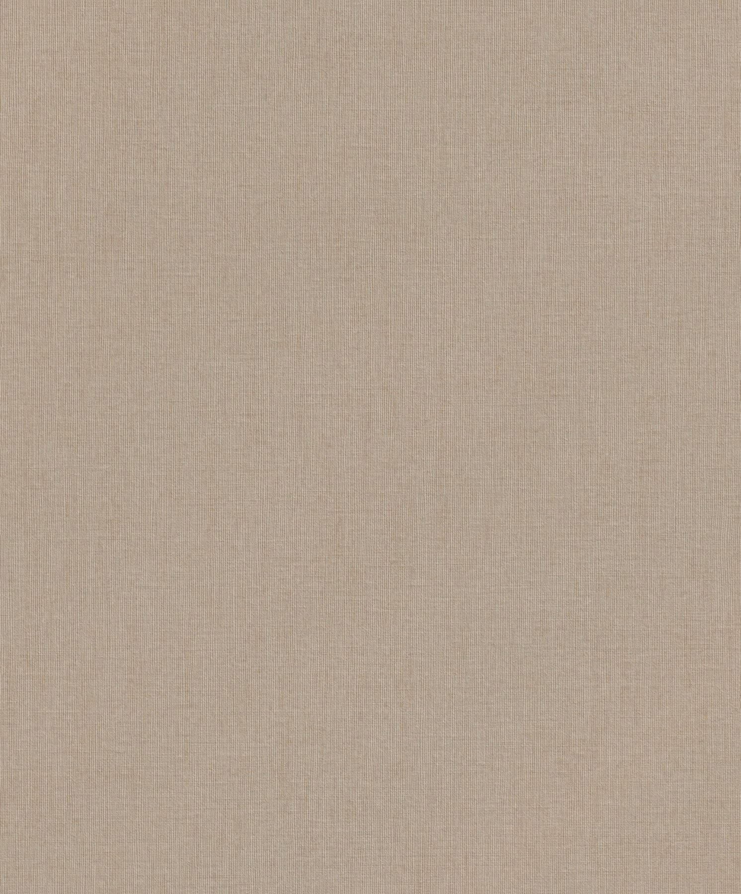 Florentine IV 484656