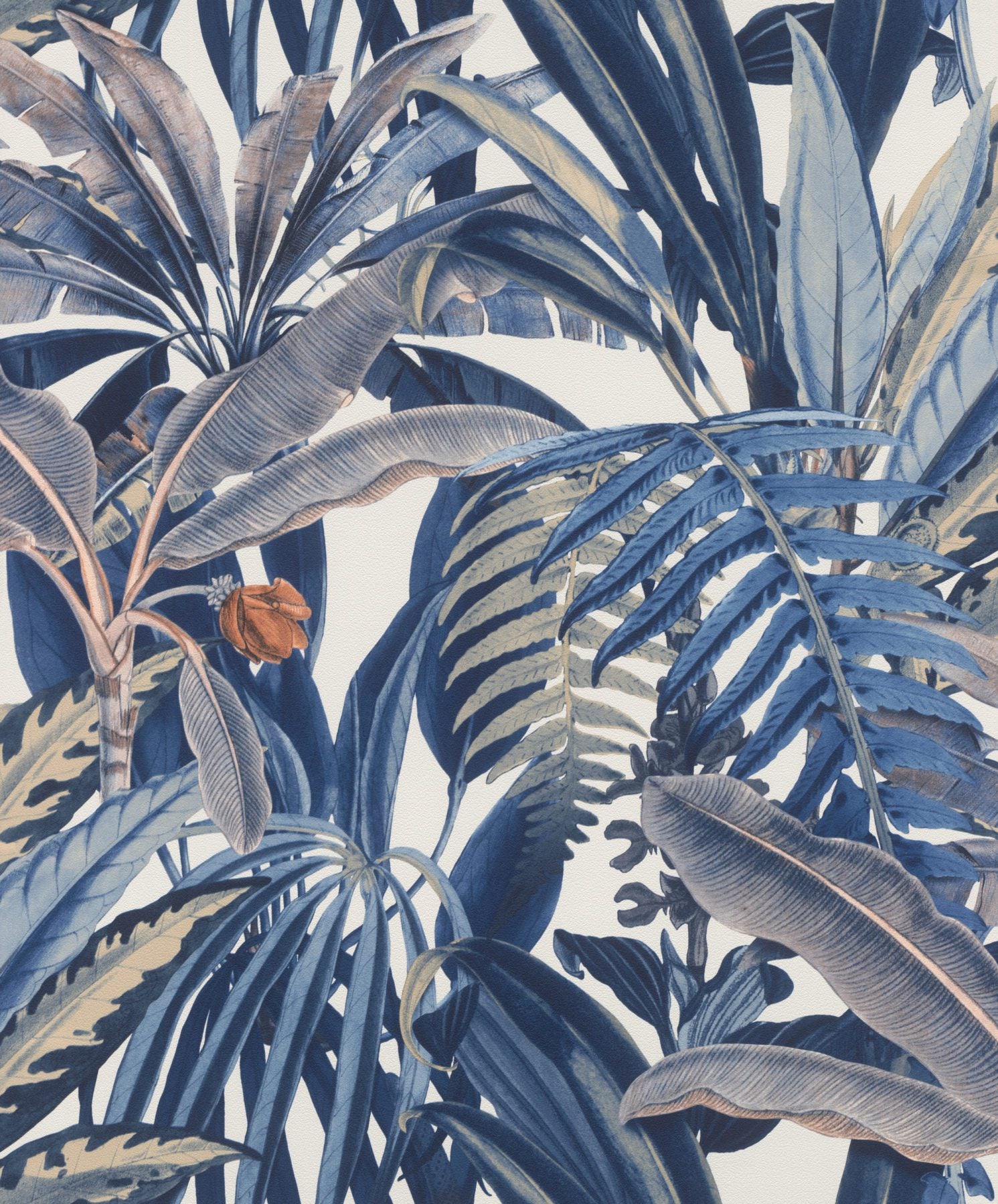 Jardin/Rhapsody 689501