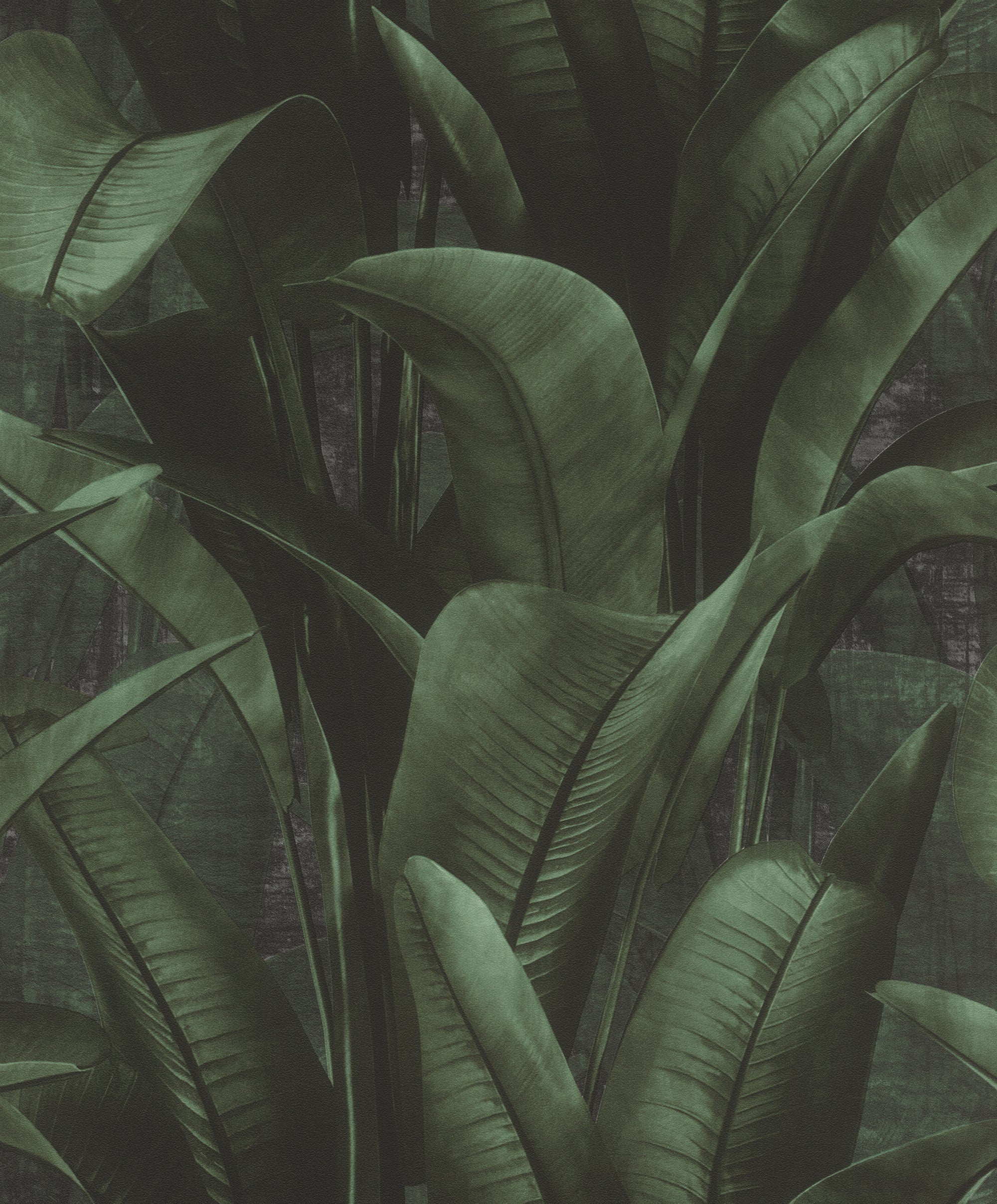 Back to Nature 416237