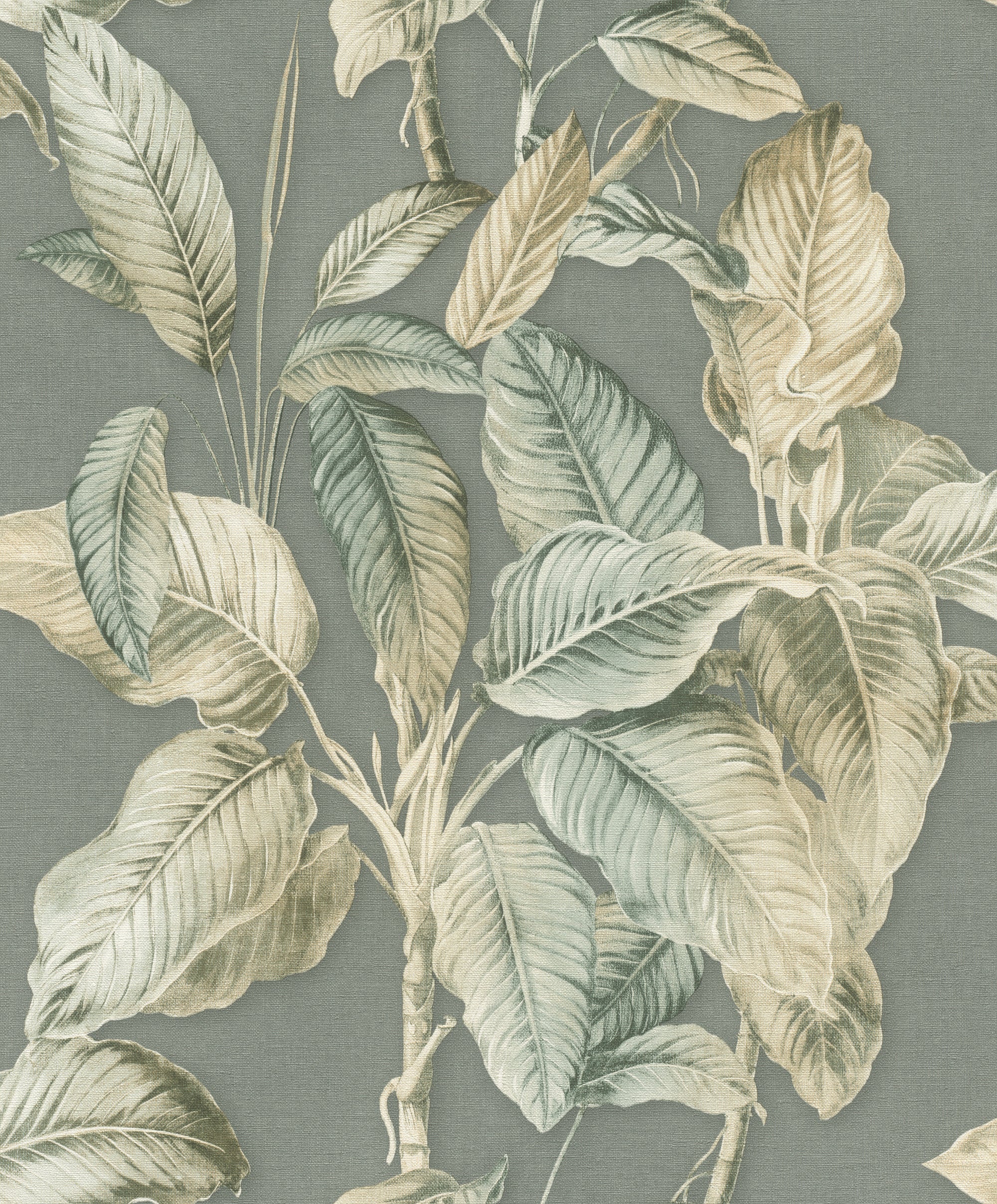 Back to Nature 571462