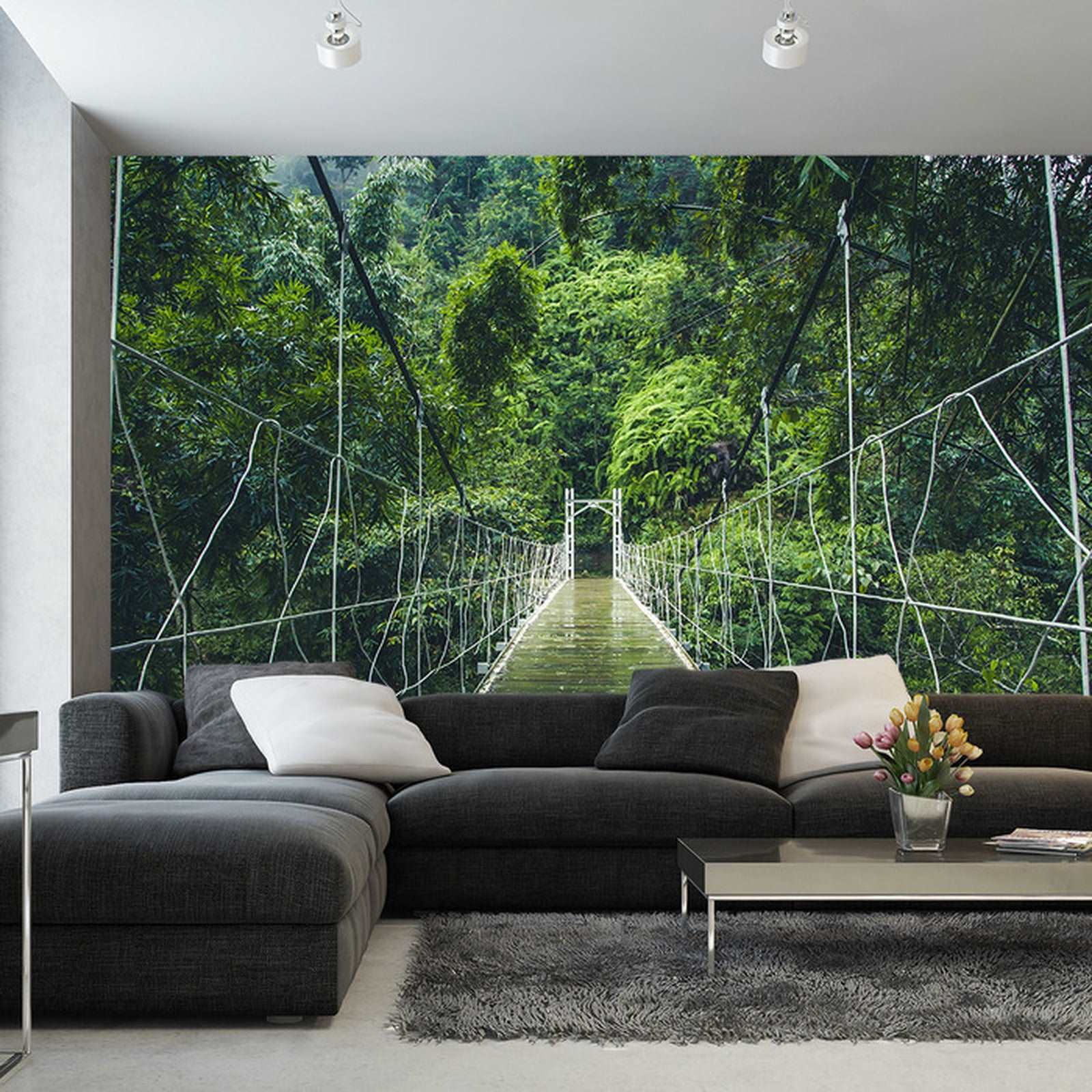 Fototapet Bakgrunnshengebro