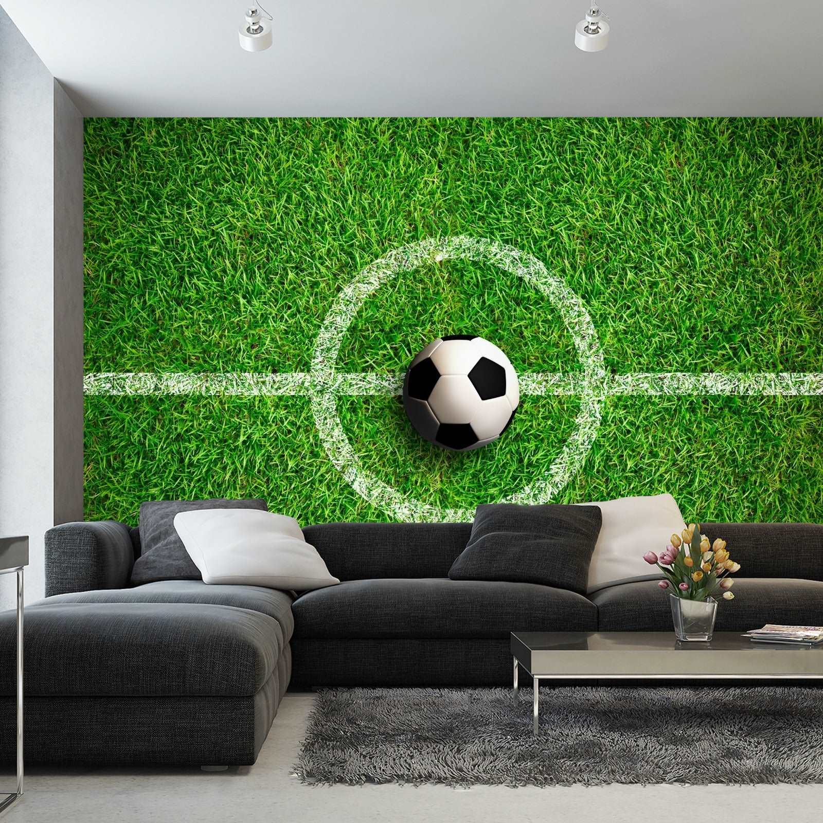 Fototapet Ball I Midten Av Banen