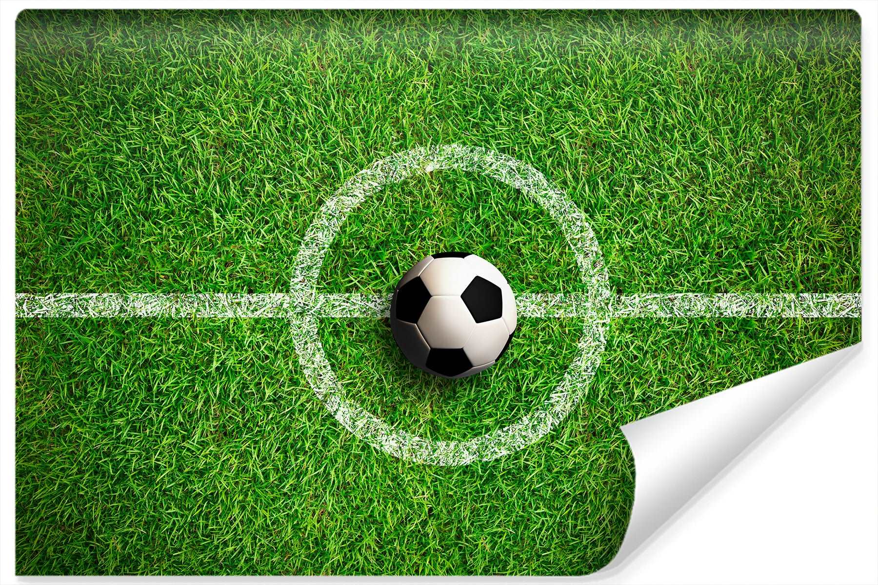 Fototapet Ball I Midten Av Banen