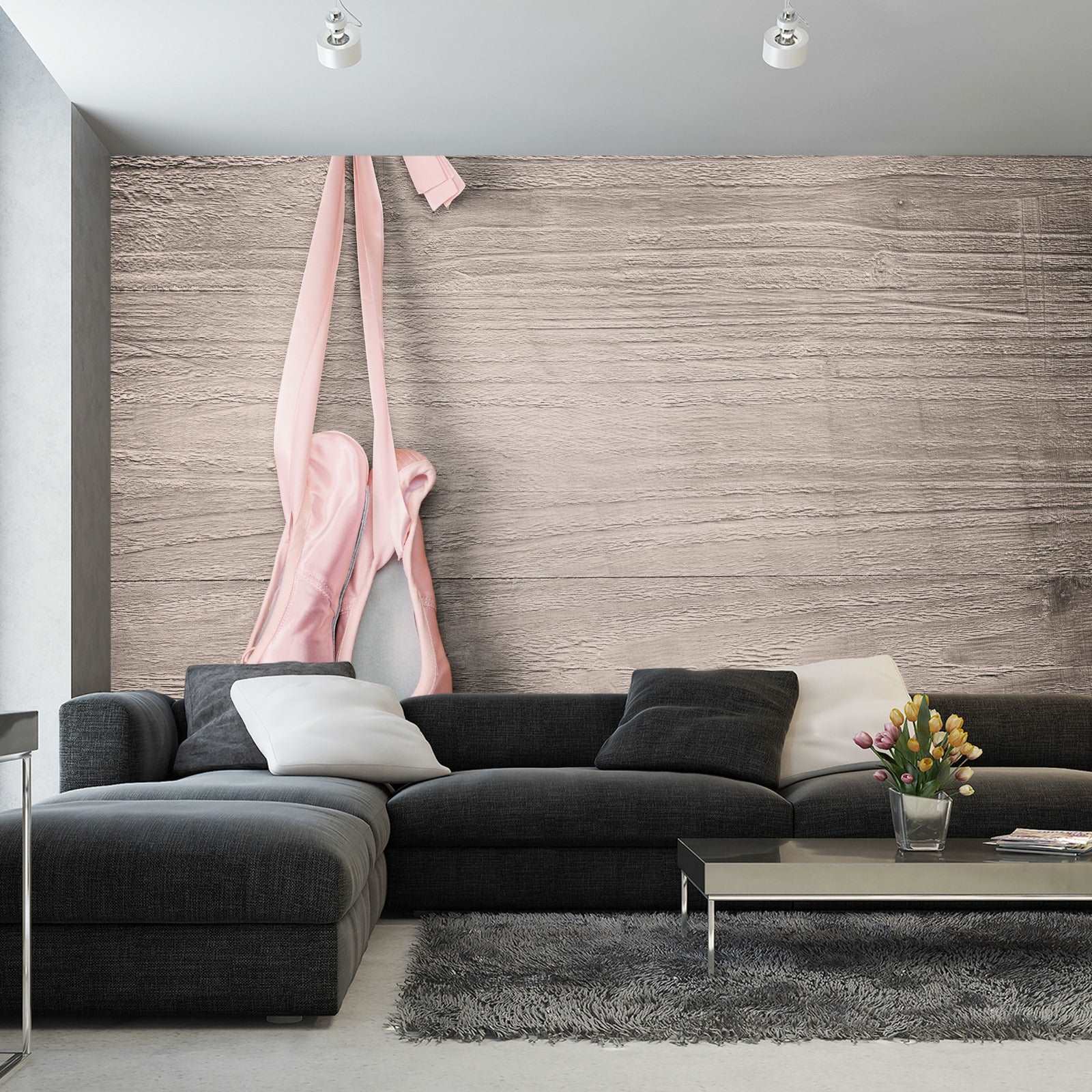 Fototapet Ballett Sko