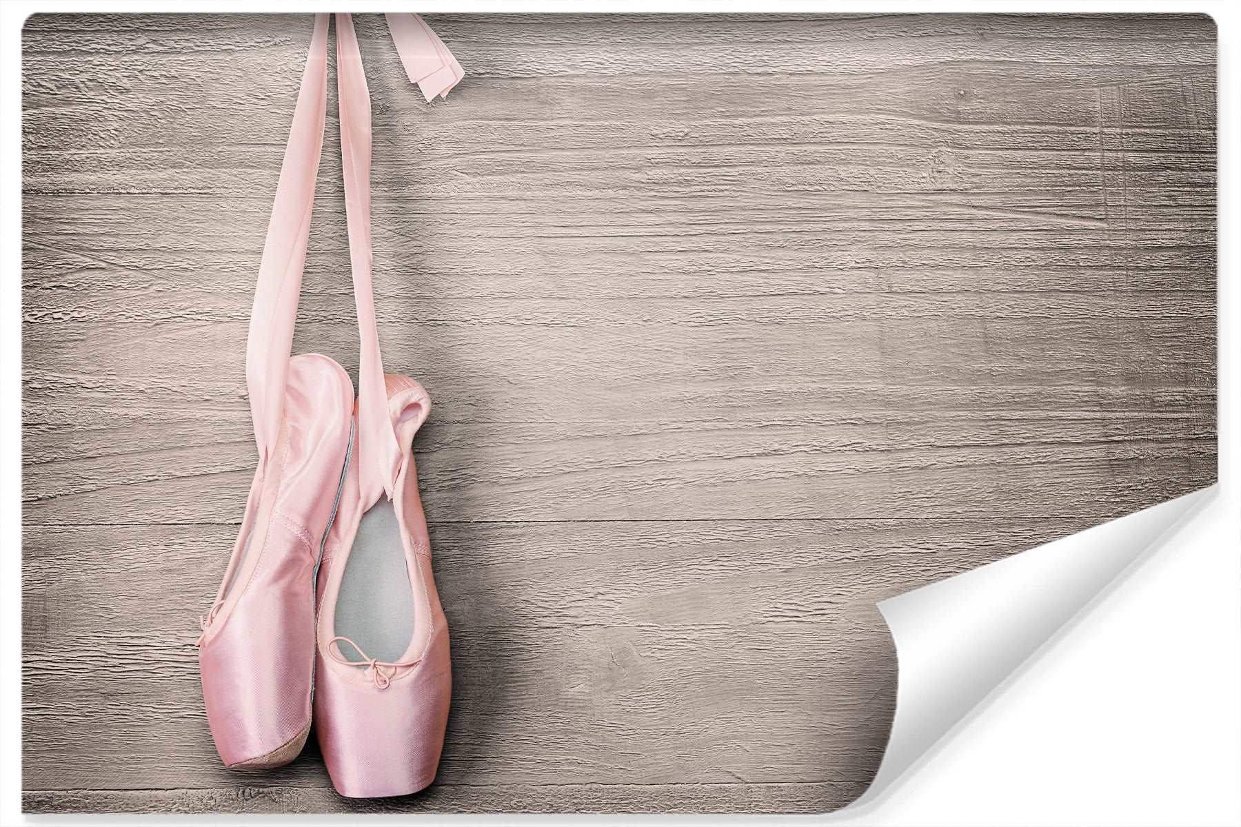 Fototapet Ballett Sko
