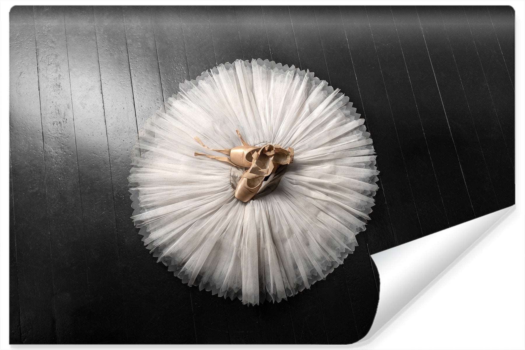 Fototapet Ballettsko På En Hvit Tutu