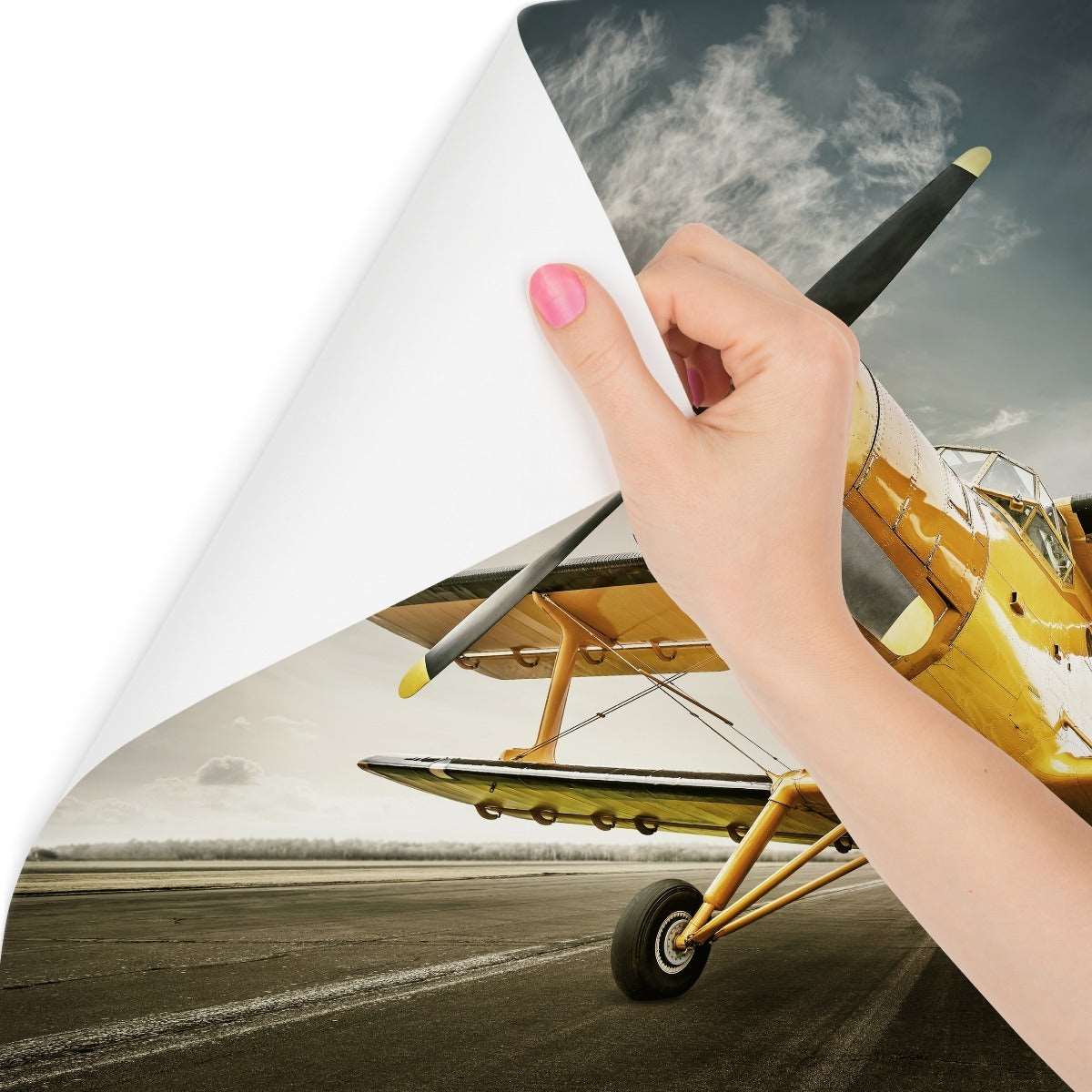 Fototapet Antikke Fly