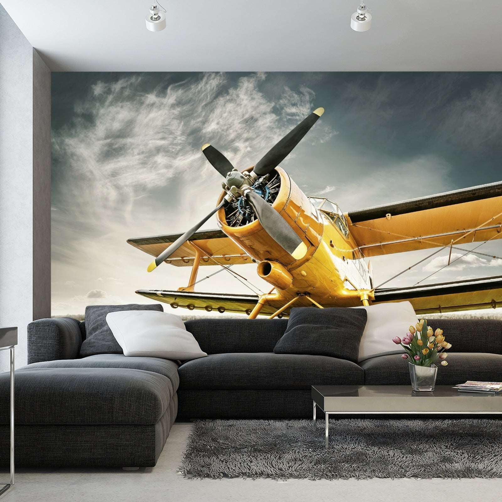 Fototapet Antikke Fly