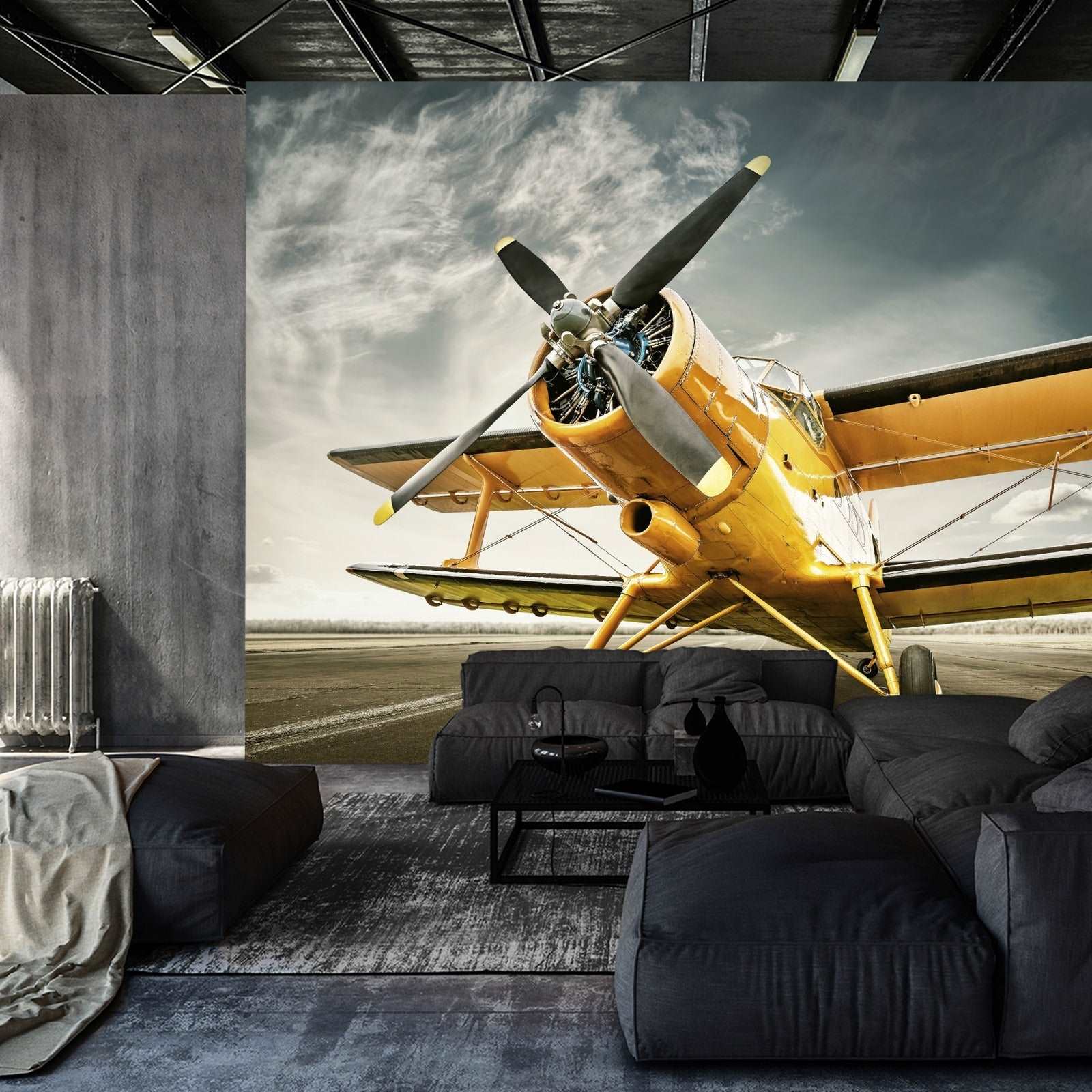 Fototapet Antikke Fly