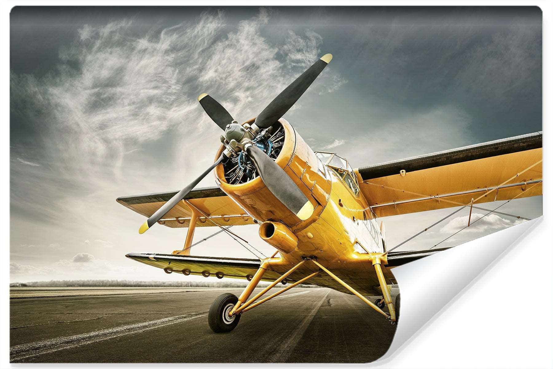 Fototapet Antikke Fly