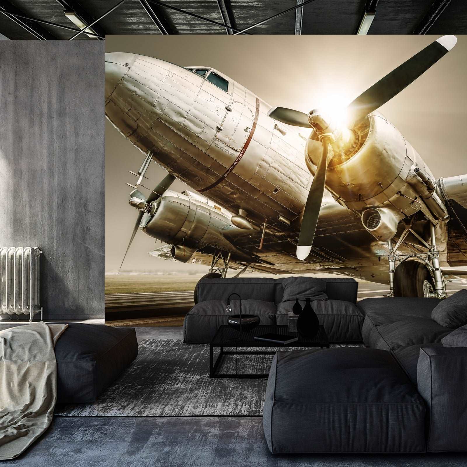 Fototapet Antikke Fly Ved Solnedgang