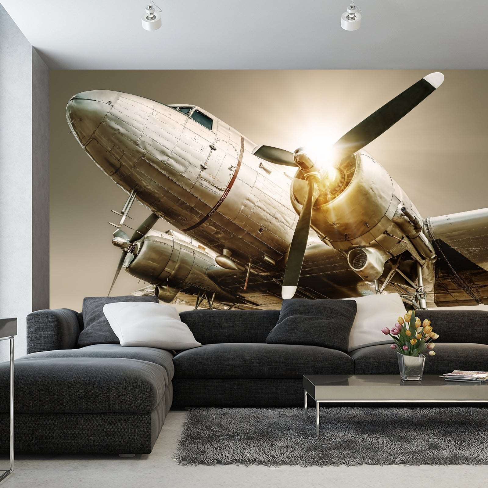 Fototapet Antikke Fly Ved Solnedgang