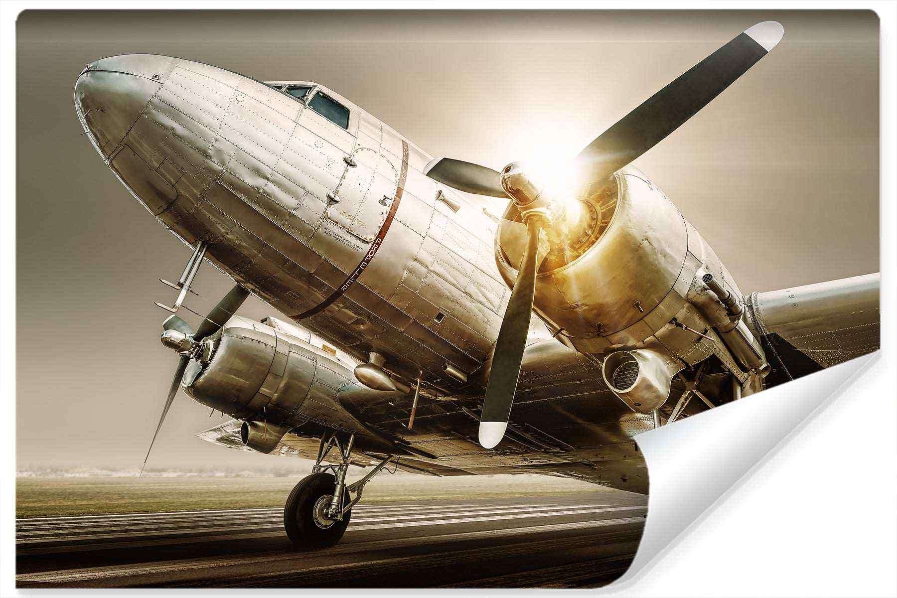 Fototapet Antikke Fly Ved Solnedgang