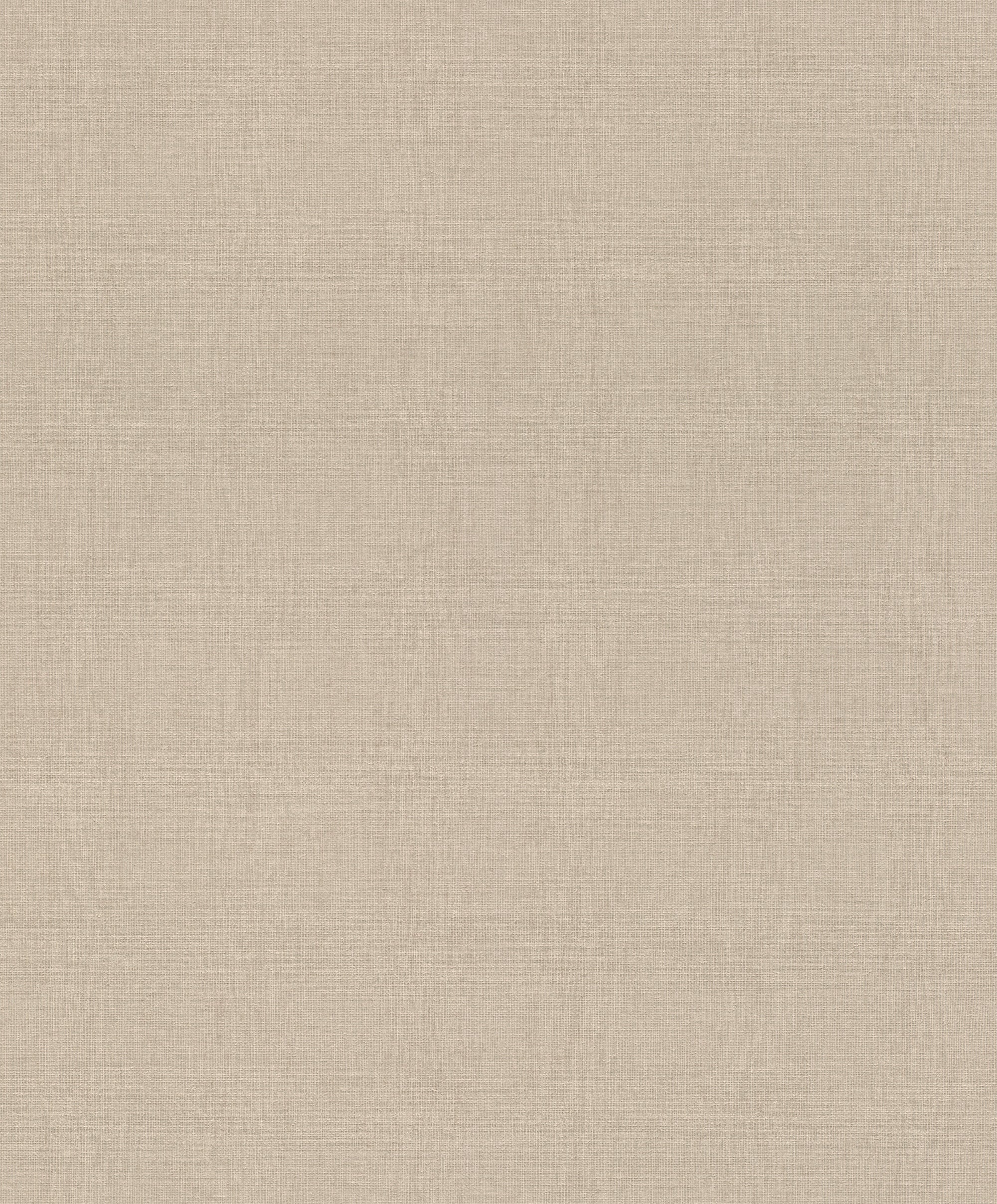 Florentine IV 484540