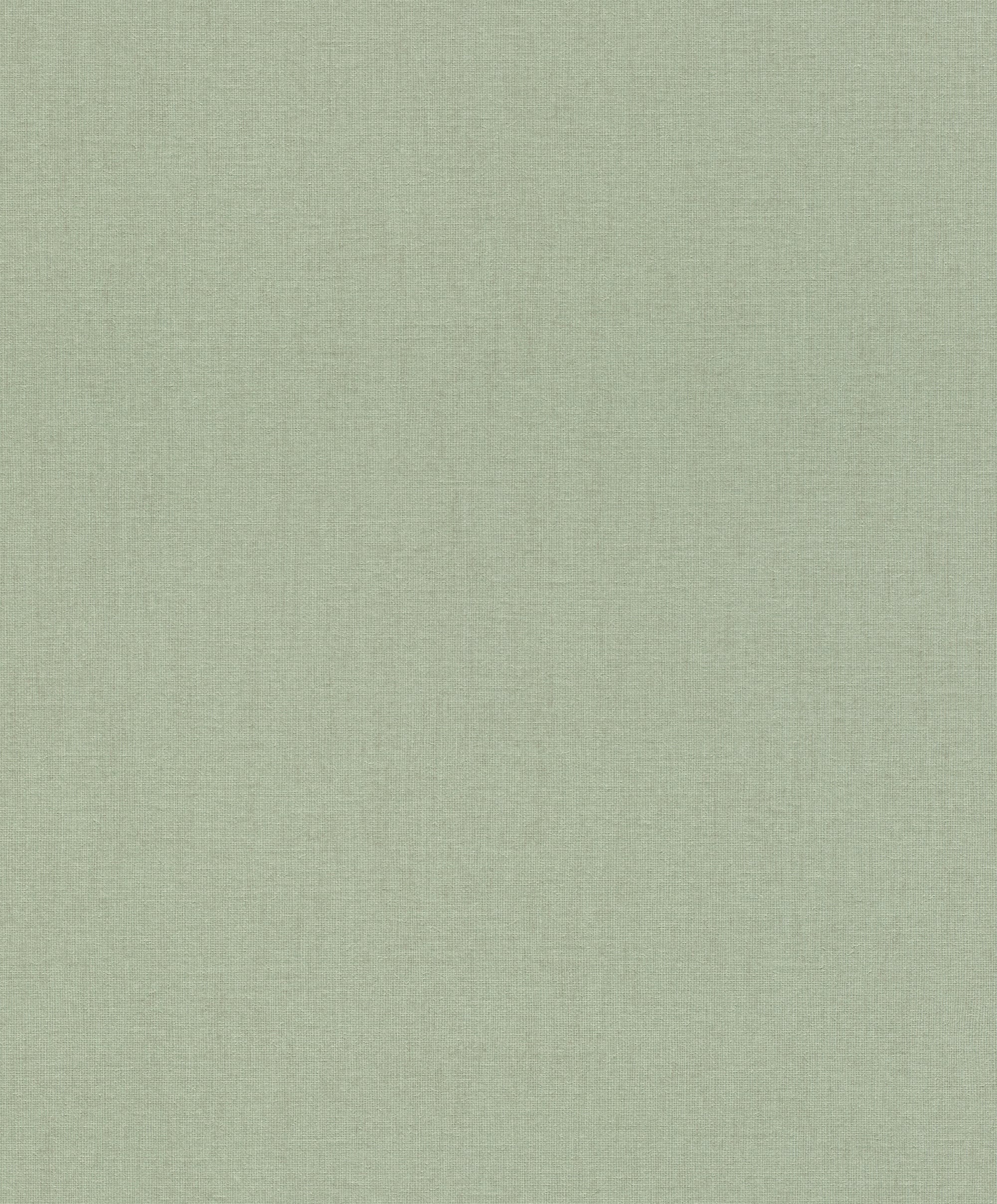 Florentine IV 484588