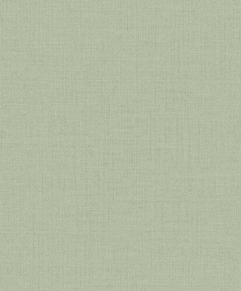 Icon IC1013