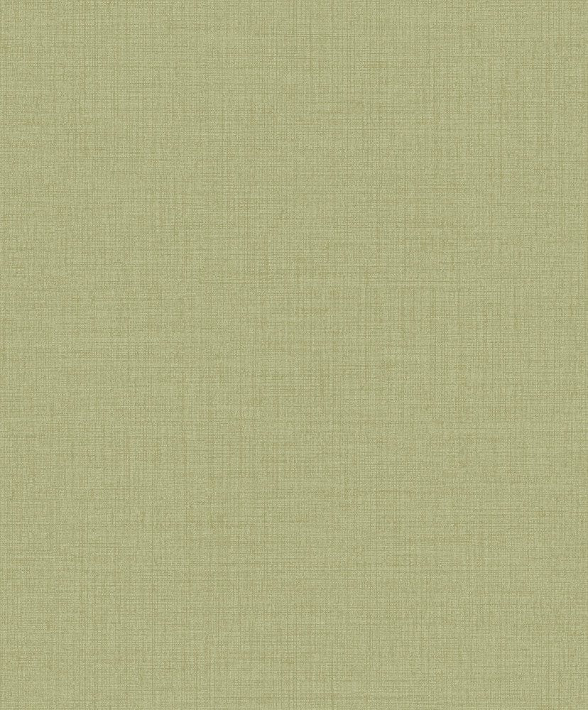 Icon IC1014