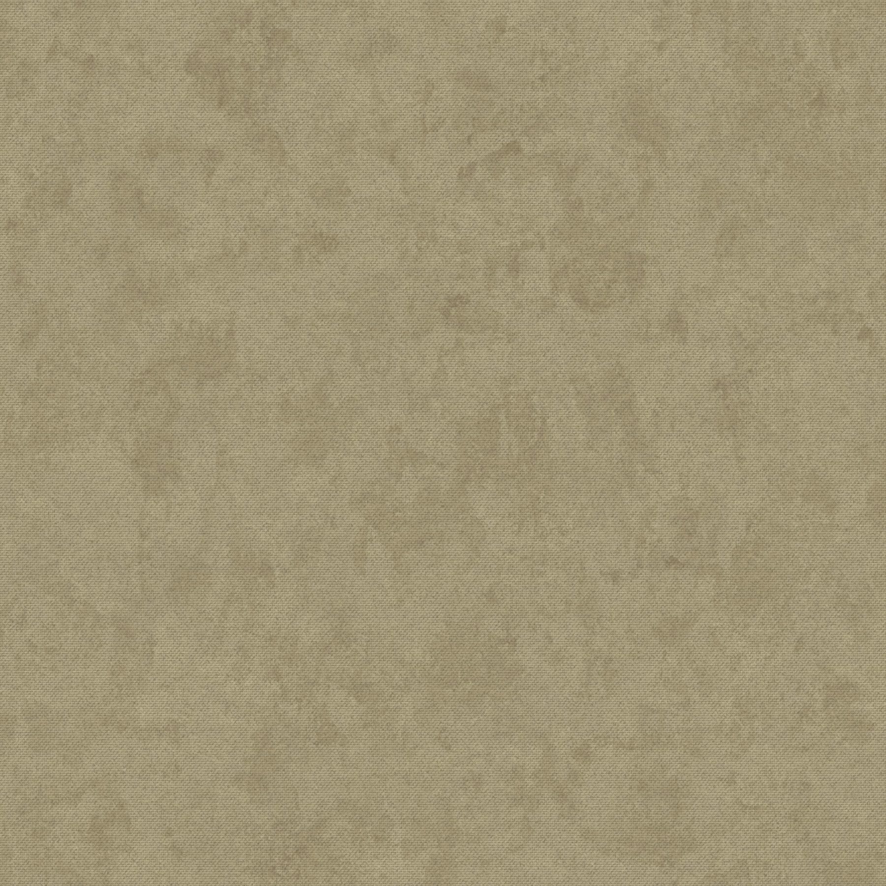 Sans ST1924 Curious Mind