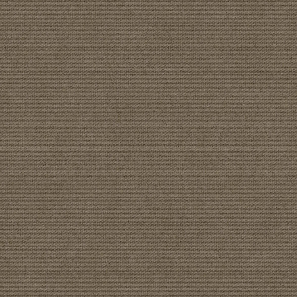 Sans ST1925 Hipster Brown