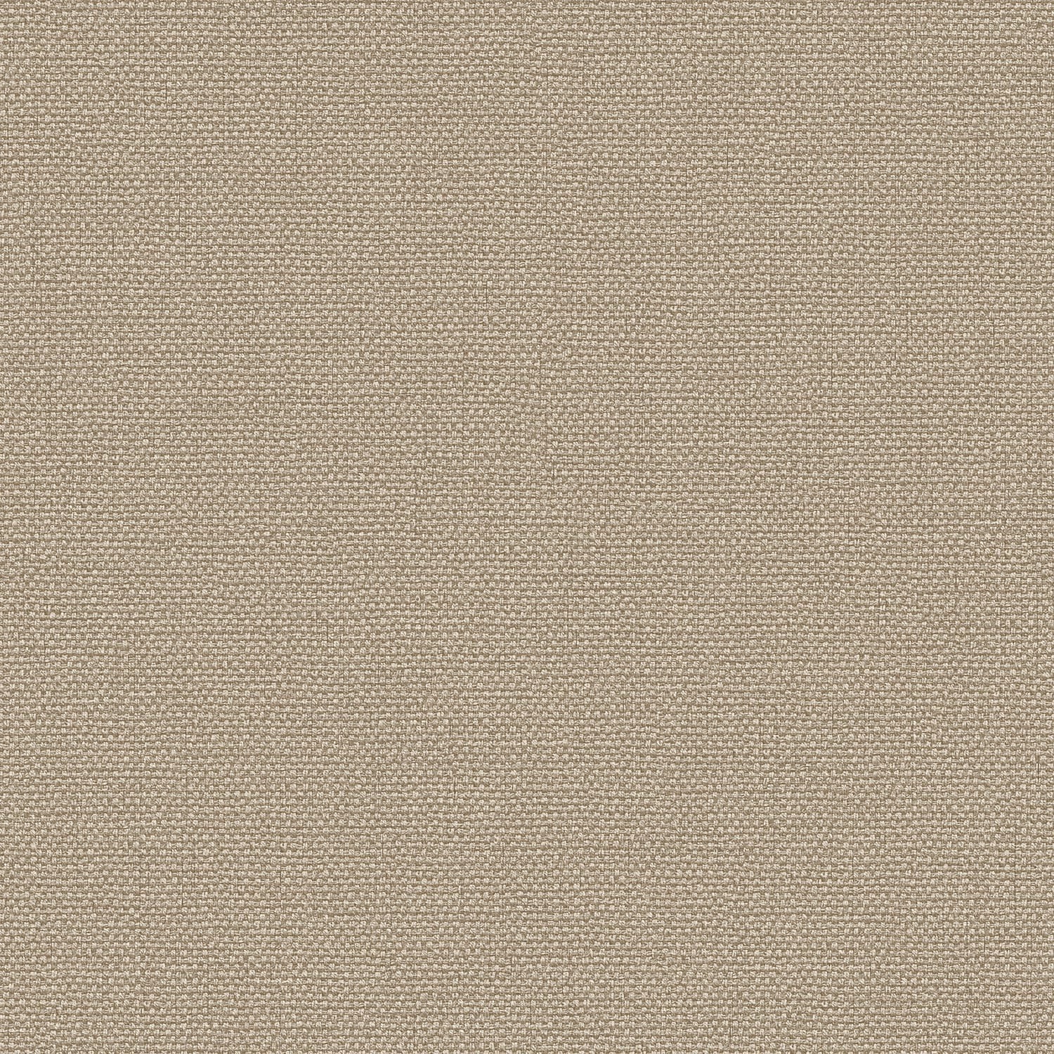 EXCLUSIVE THREADS TP422944