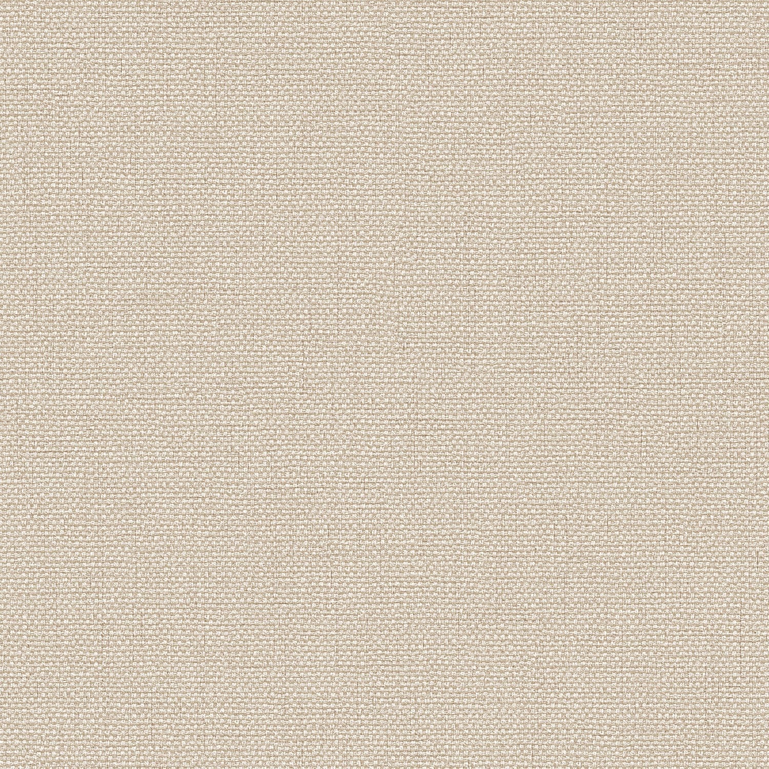 EXCLUSIVE THREADS TP422942