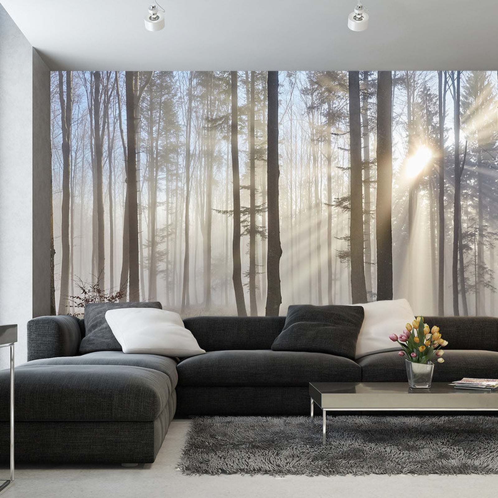 Fototapet Skog med solskinn 2