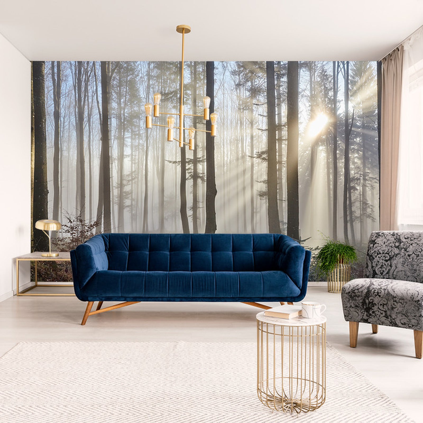 Fototapet Skog med solskinn 2