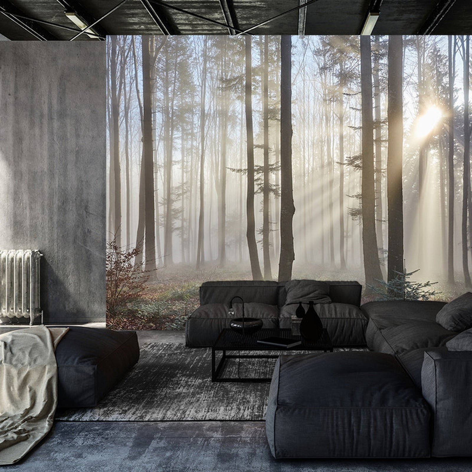 Fototapet Skog med solskinn 2