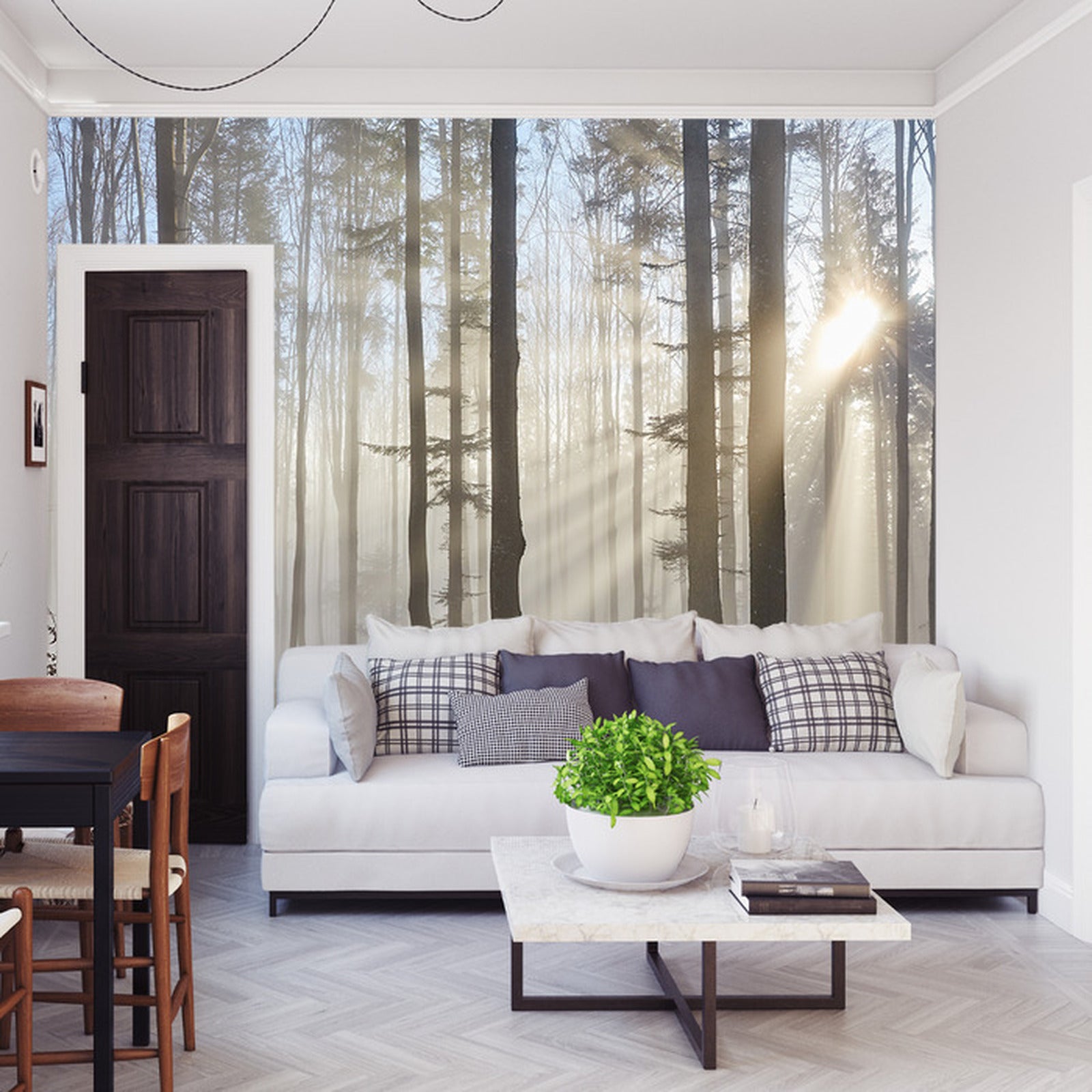 Fototapet Skog med solskinn 2