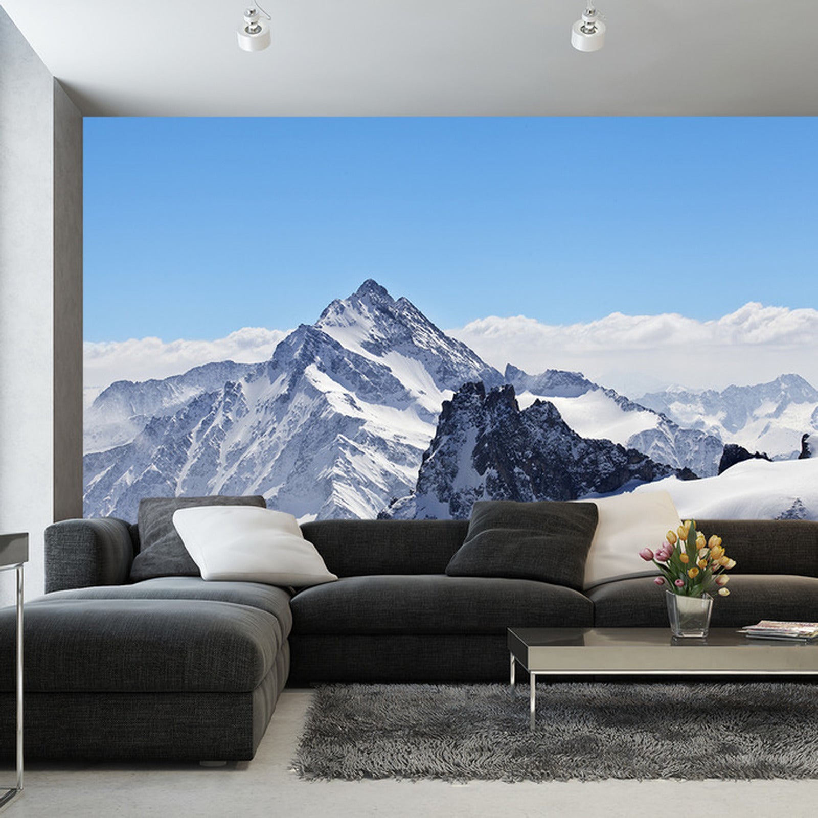 Fototapet Lavendel Blomster Til Kjøkkenet