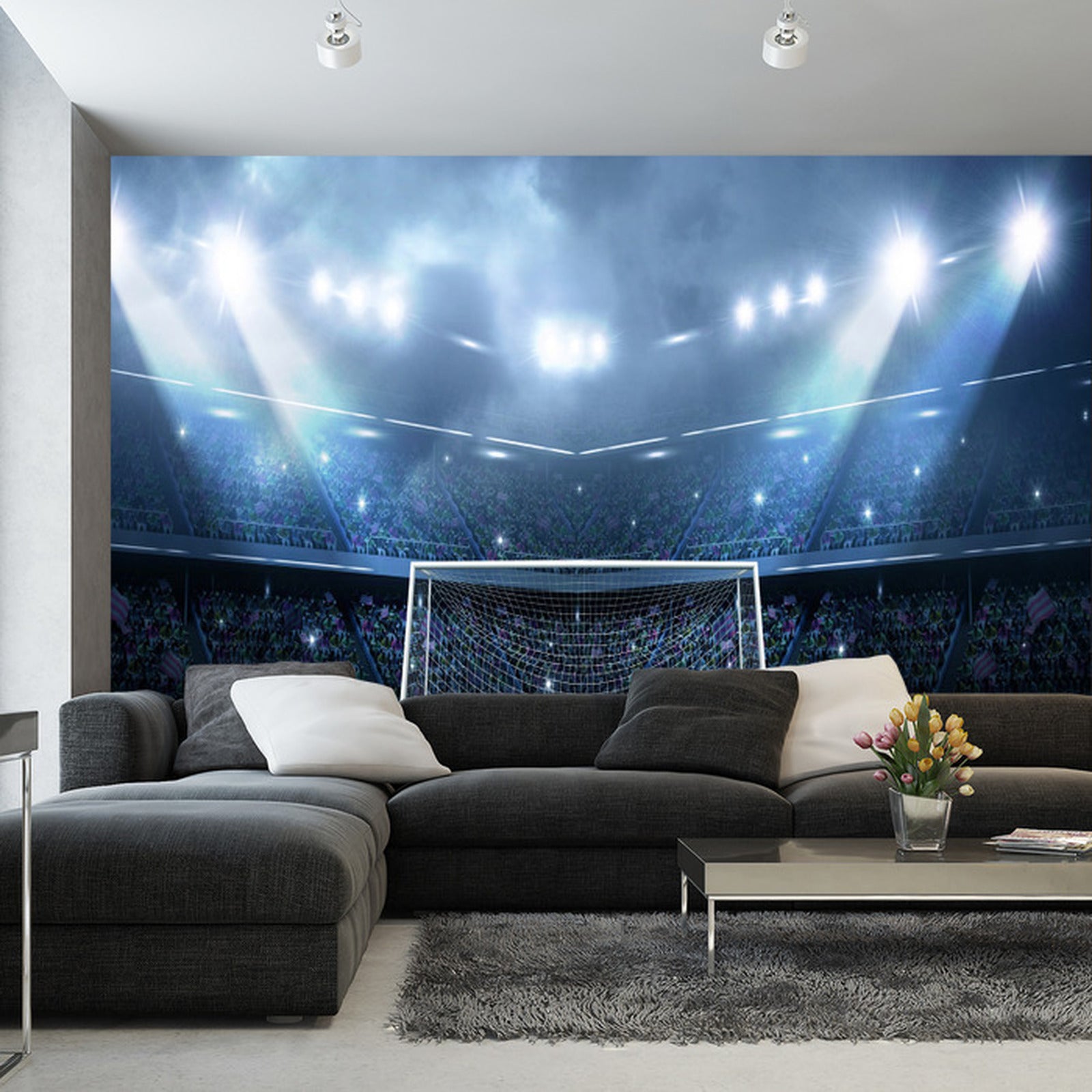 Fototapet Fotballstadion, Lekeplass