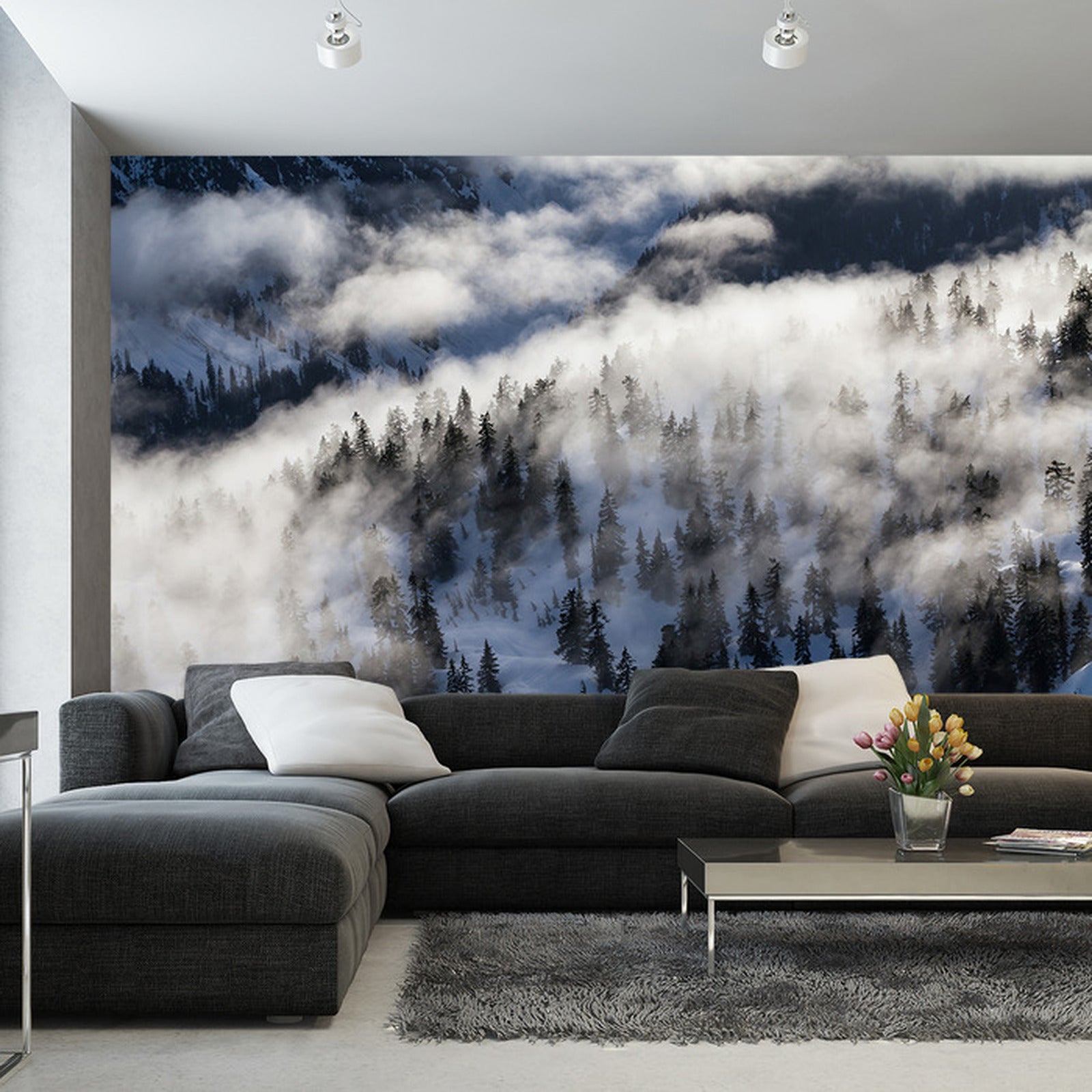 Fototapet Skog I Tåke