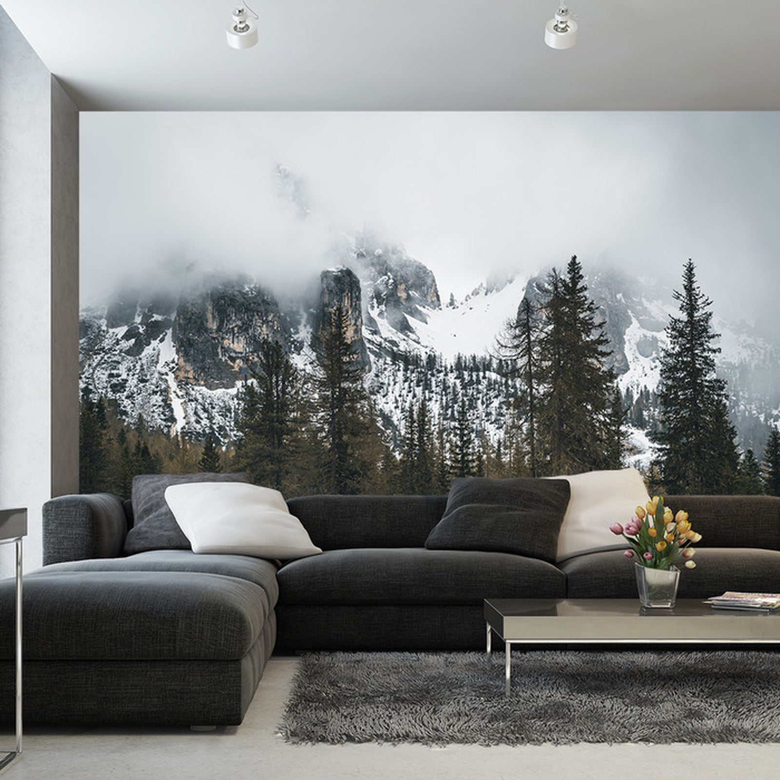 Fototapet Skog I Tåke