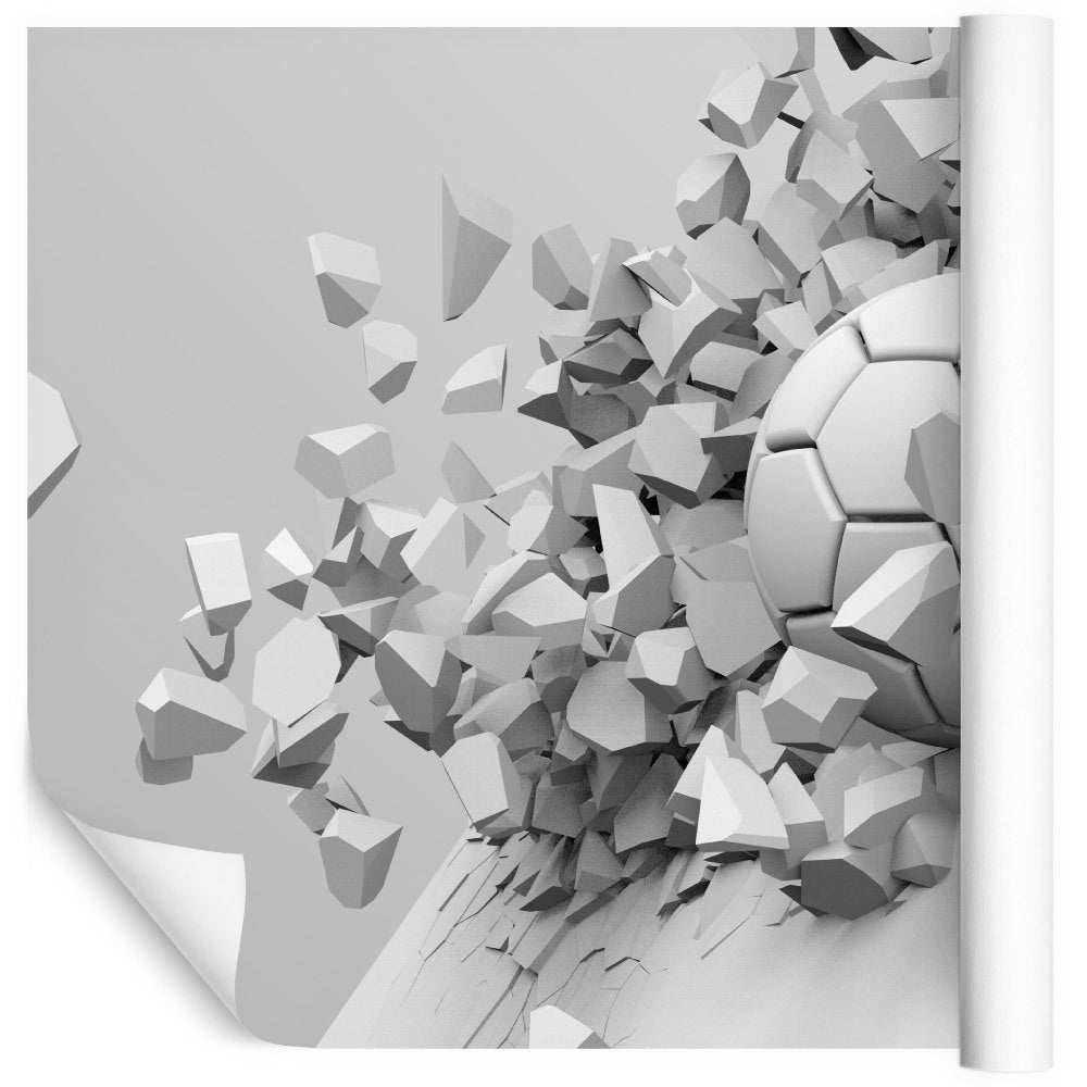 Fototapet 3D Sportsball