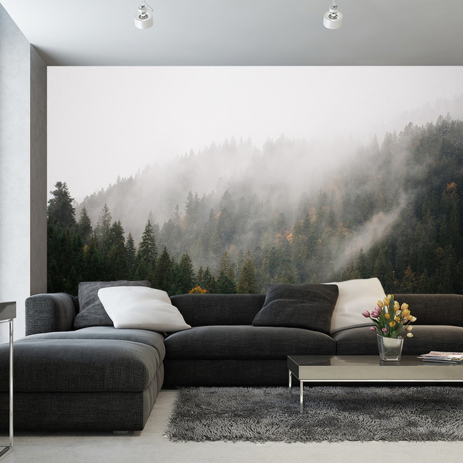 Fototapet Skog I Tåke 4