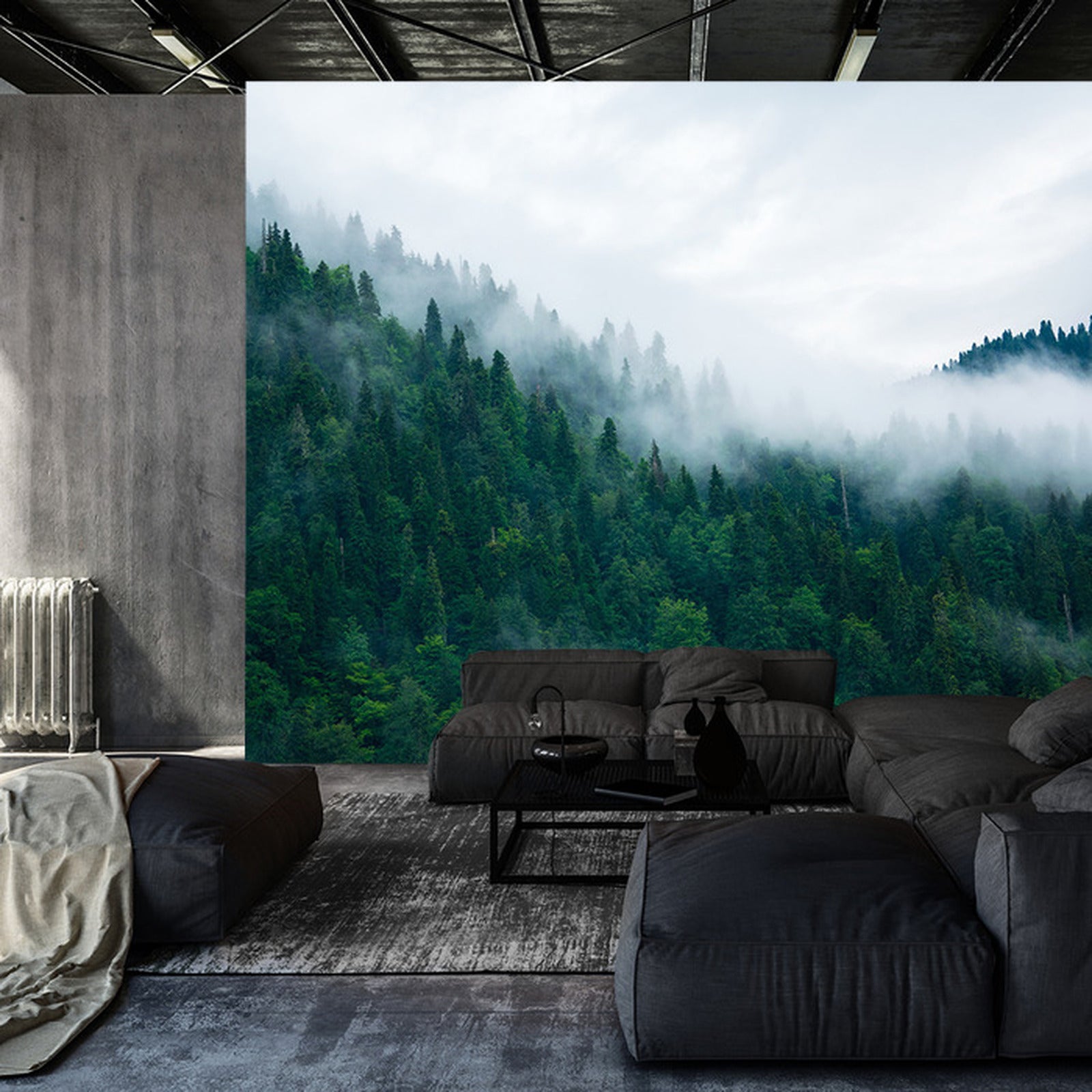 Fototapet Skog I Tåke