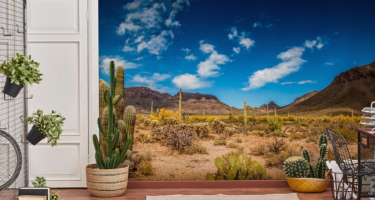 Fototapet Landskap Ørken