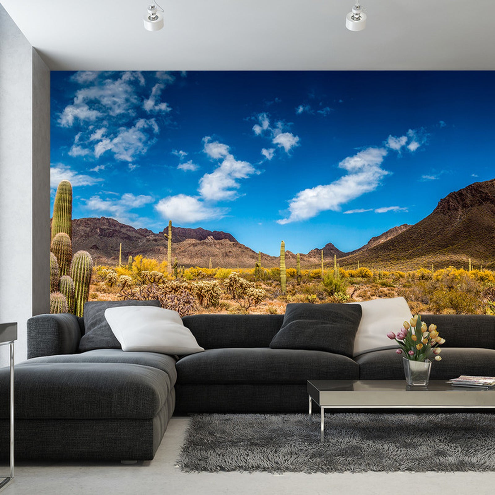 Fototapet Landskap Ørken