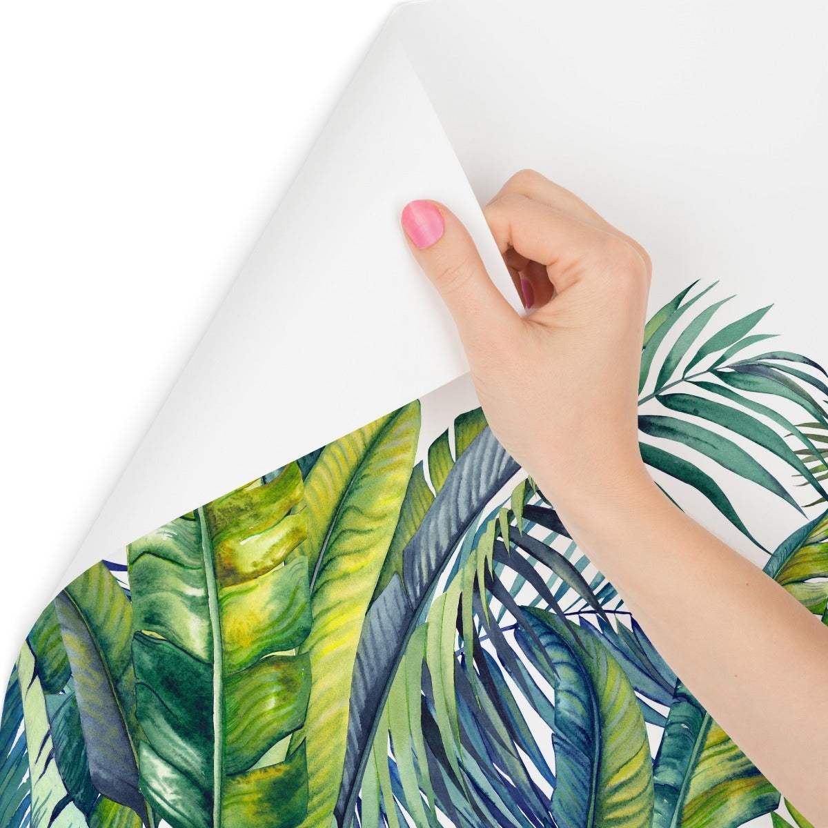 Fototapet Grønne Og Blå Tropiske Planter