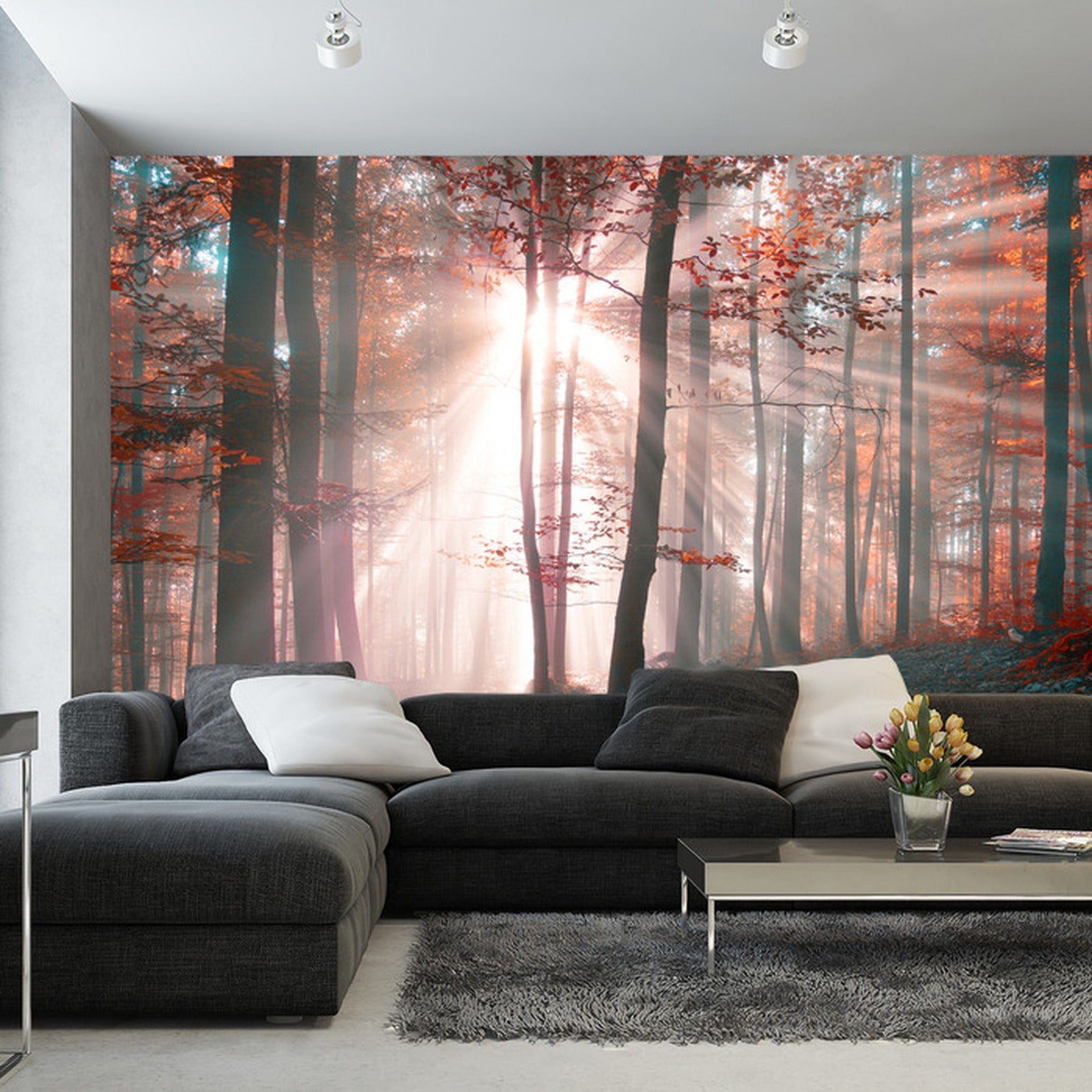 Fototapet Skog Høstfarger