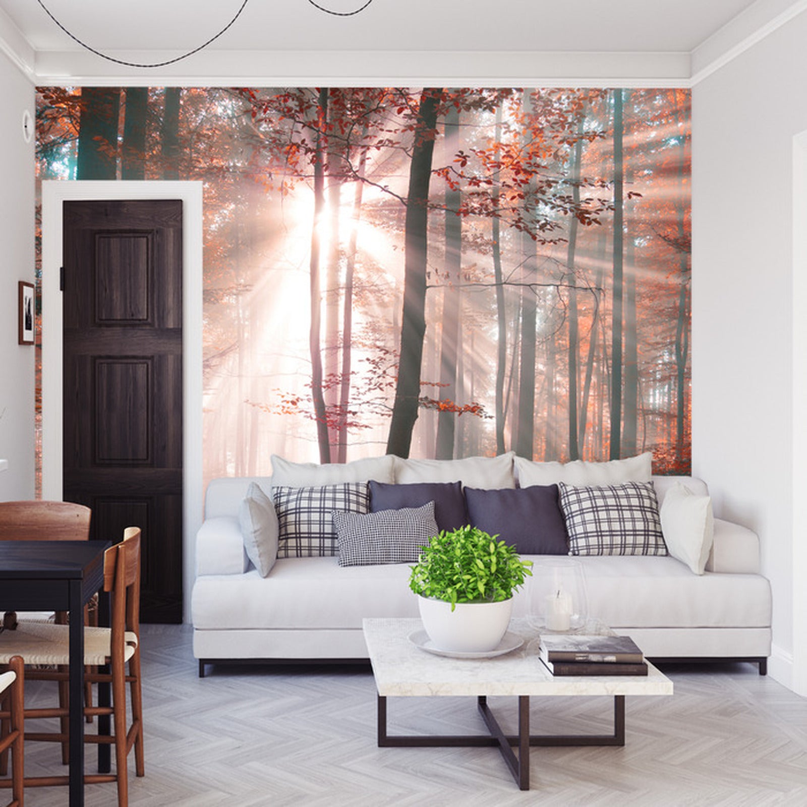 Fototapet Skog Høstfarger