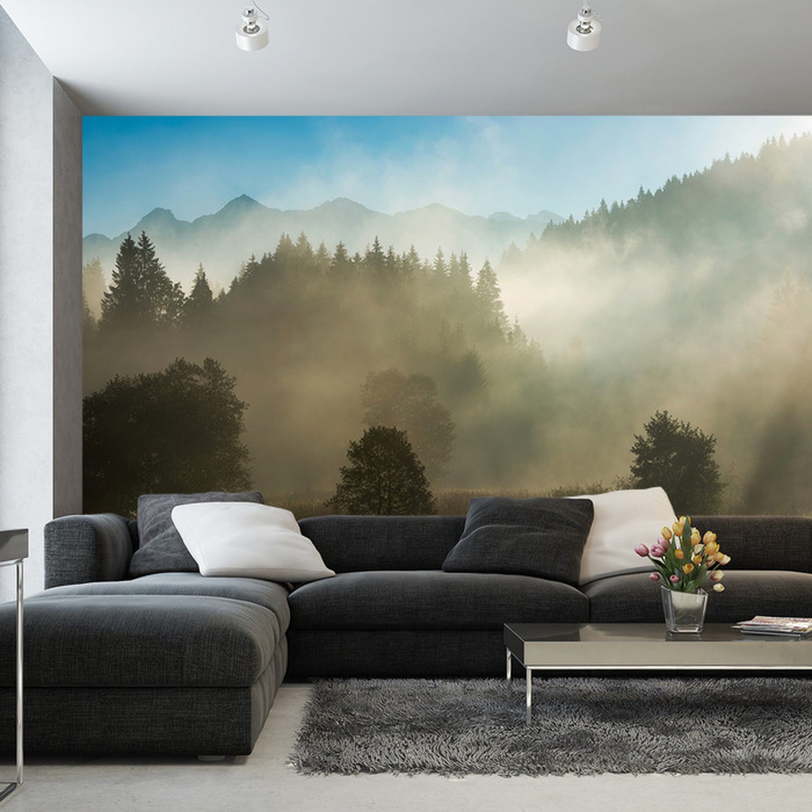 Fototapet Skog I Tåke 8