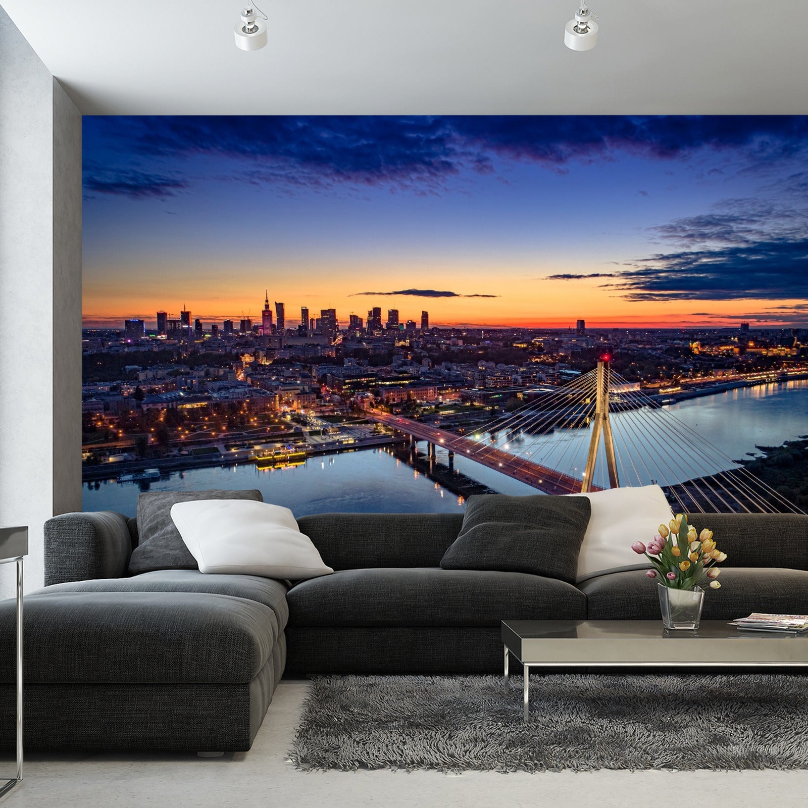 Fototapet Warszawa I Fugleperspektiv