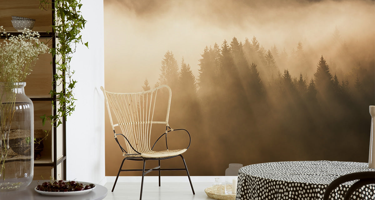 Fototapet Skog I Tåke 6