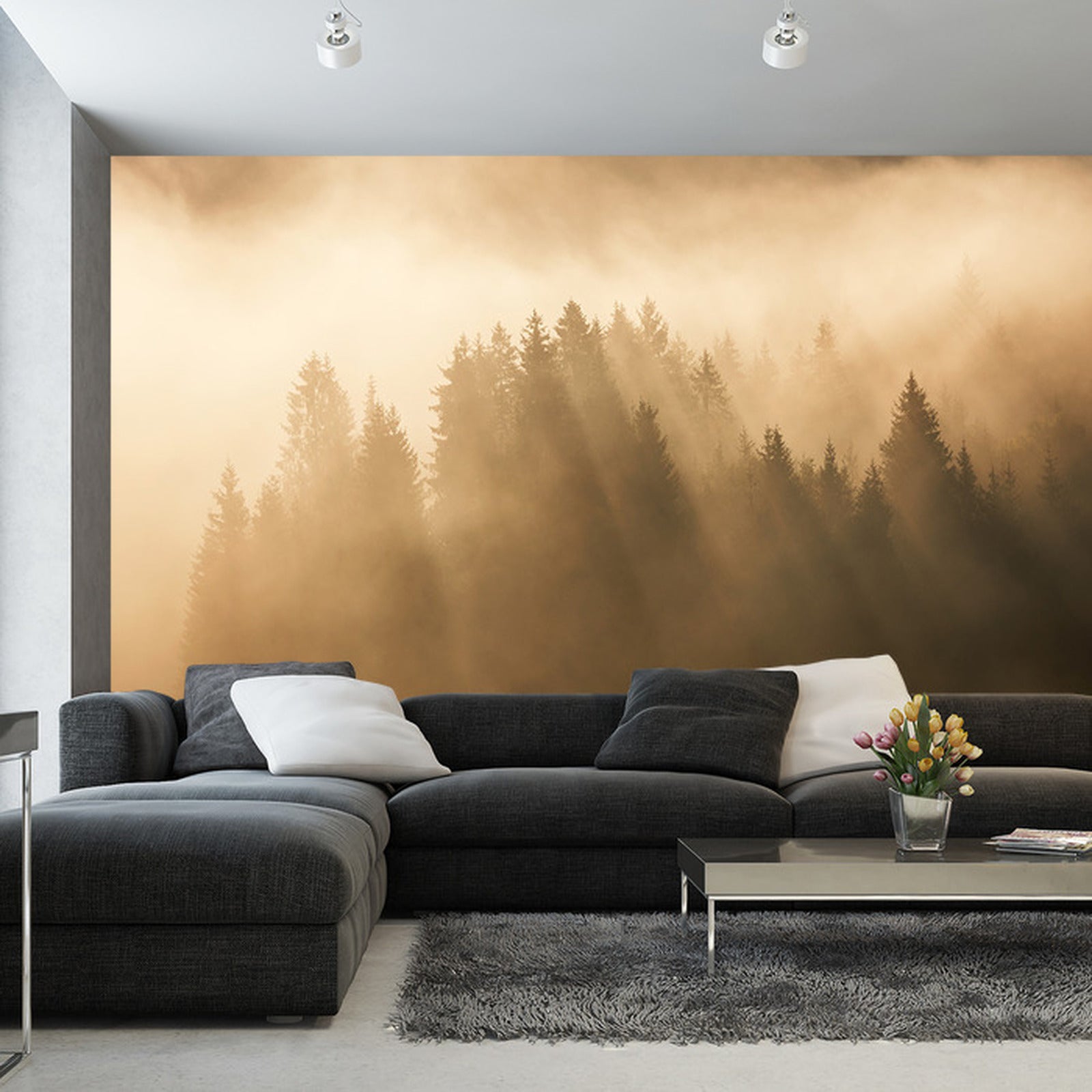 Fototapet Skog I Tåke 6