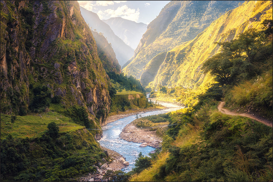 Fototapet Skogsfjell