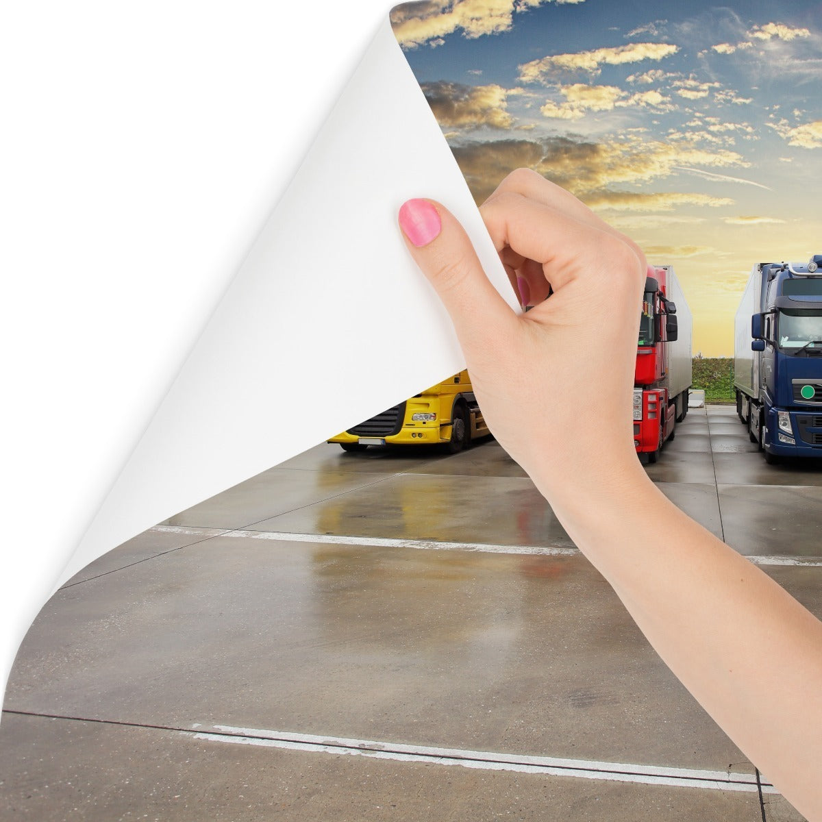 Fototapet Fargerike Lastebiler På Parkeringsplassen