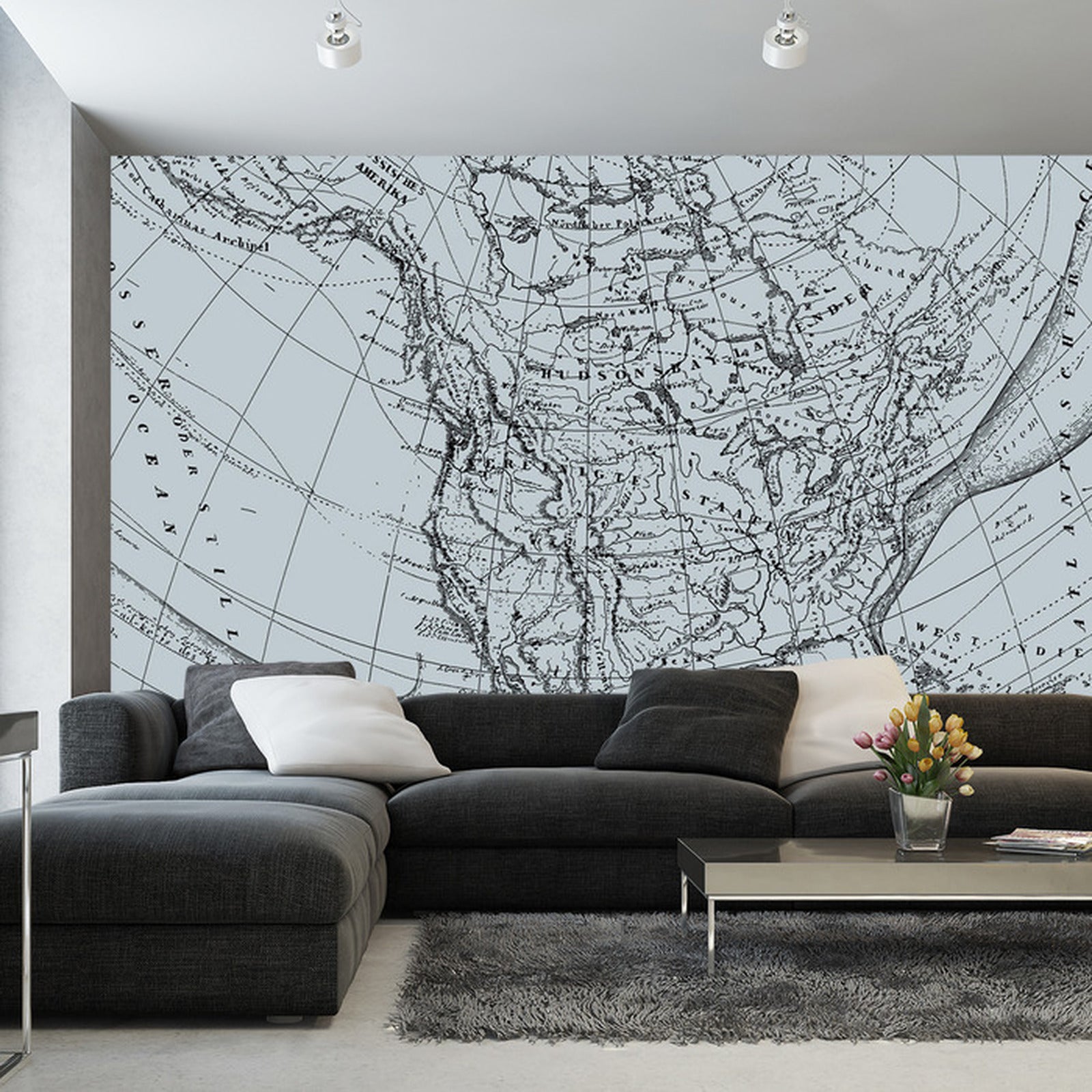 Fototapet Gammelt Kart